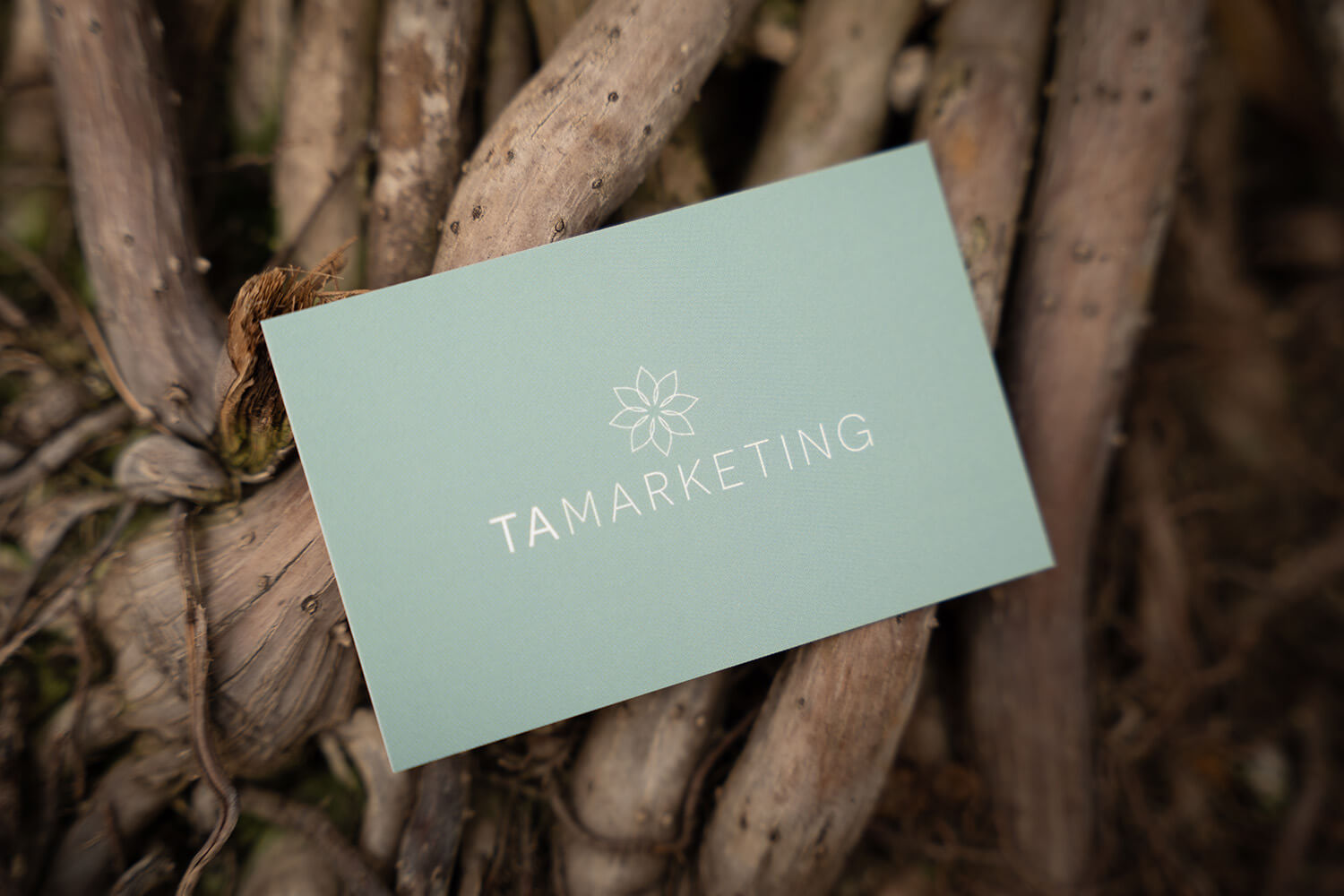 Tamarketing - mijn expertise - kracht en kleur